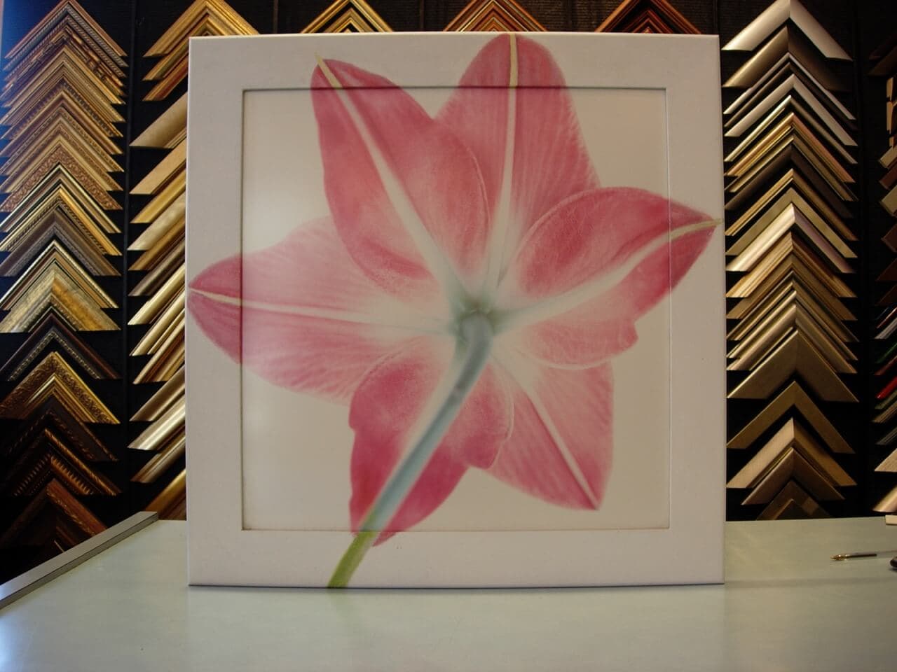 Artwork & Prints